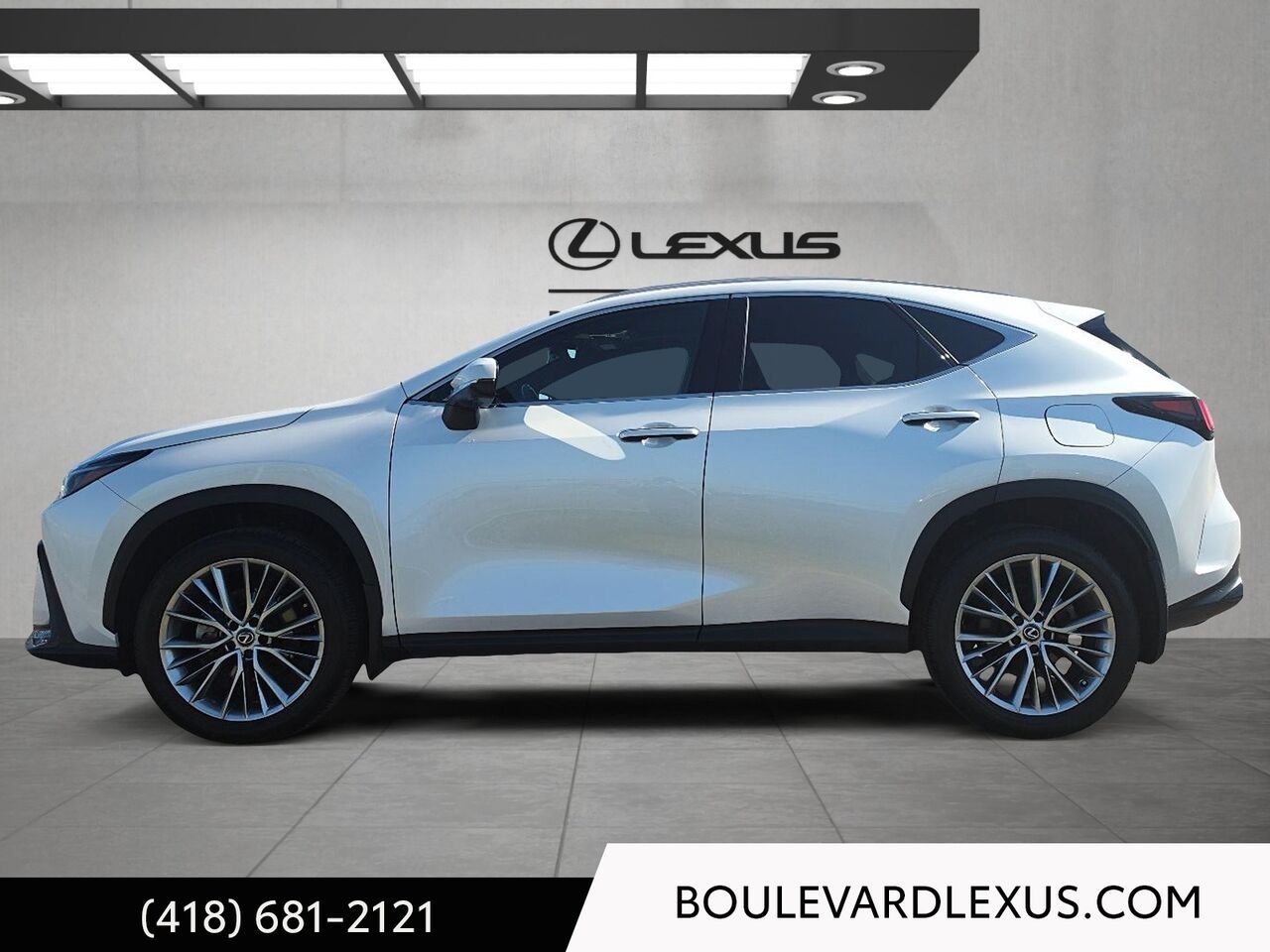 Lexus NX 20019A | NX 350 TI 2025 Blanc Québec - photo #5