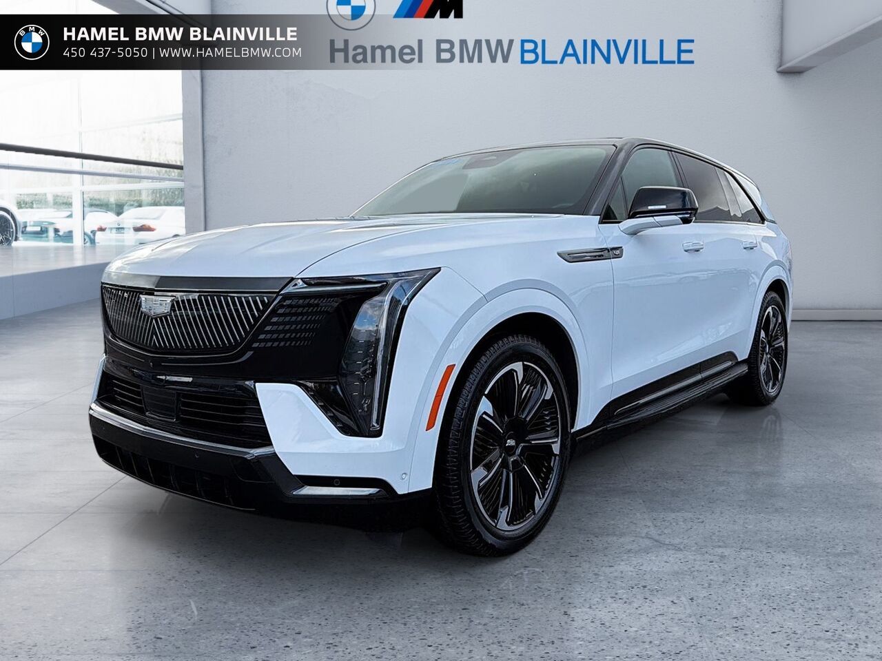 White 2025 Cadillac Escalade IQ SUV / Crossover All-Wheel Drive Automatic