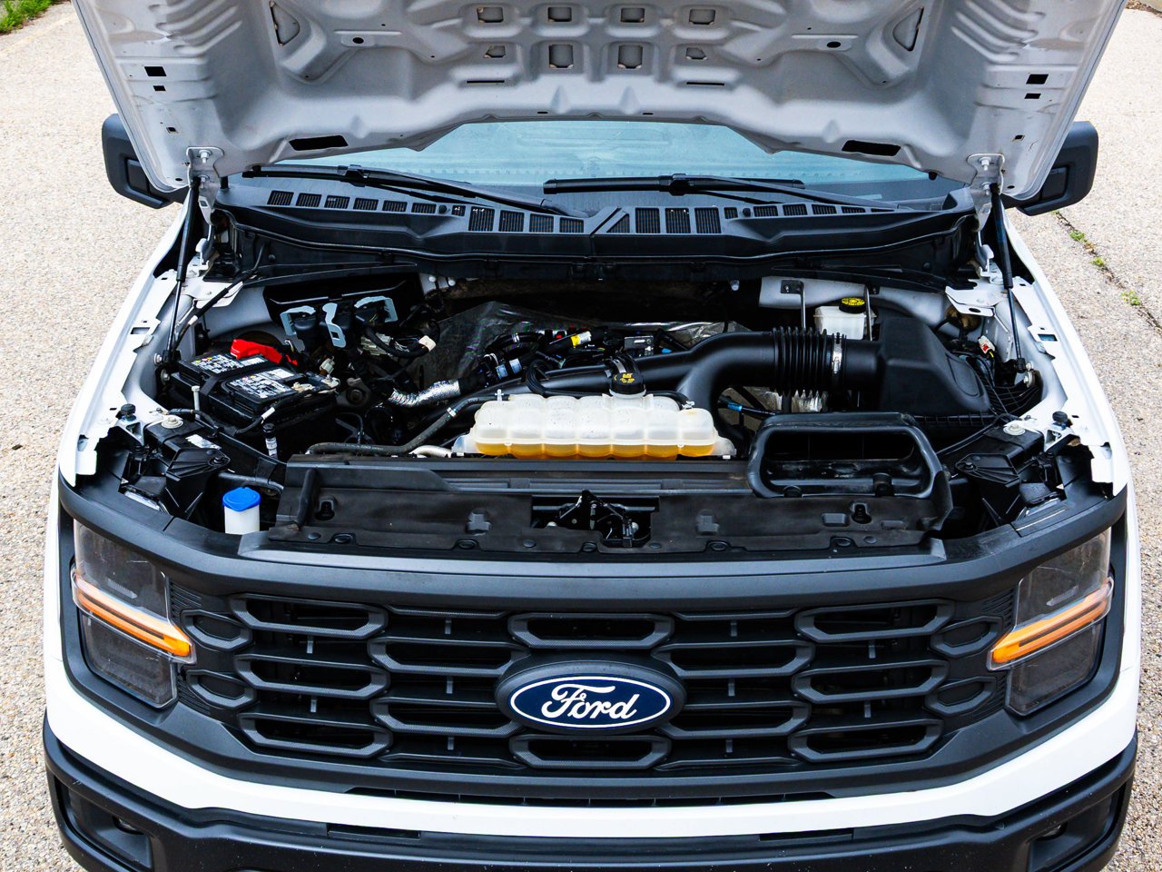 2024 Ford F-150 STX 4WD SuperCrew 5.5' Box White Sherwood Park - photo #8