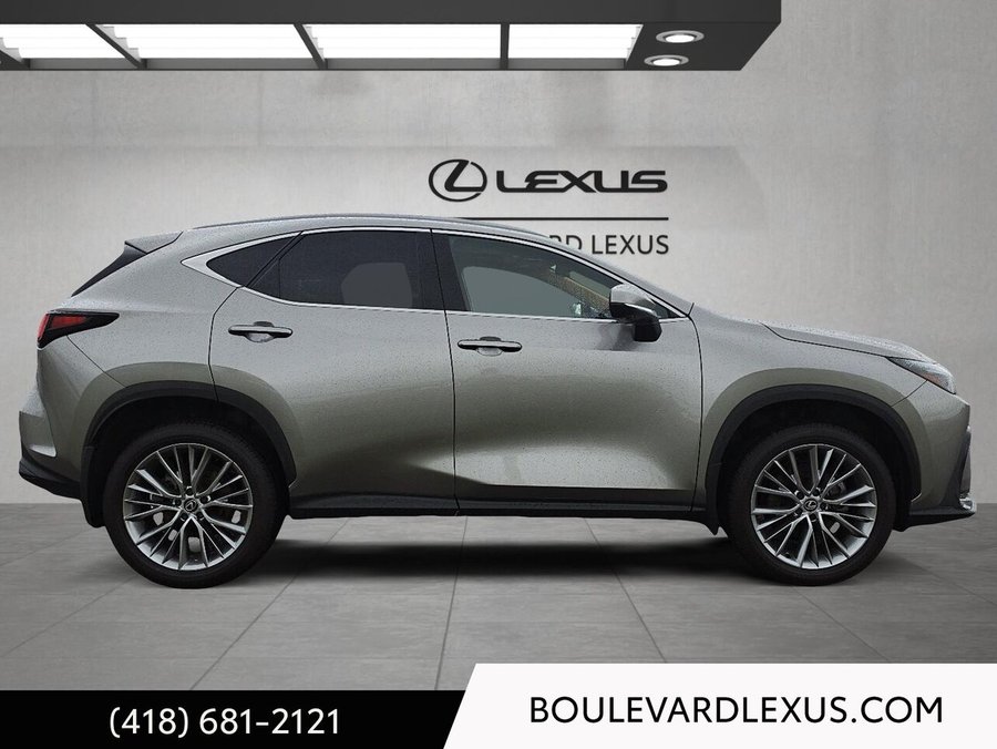 Lexus NX 2024 2024 Argent