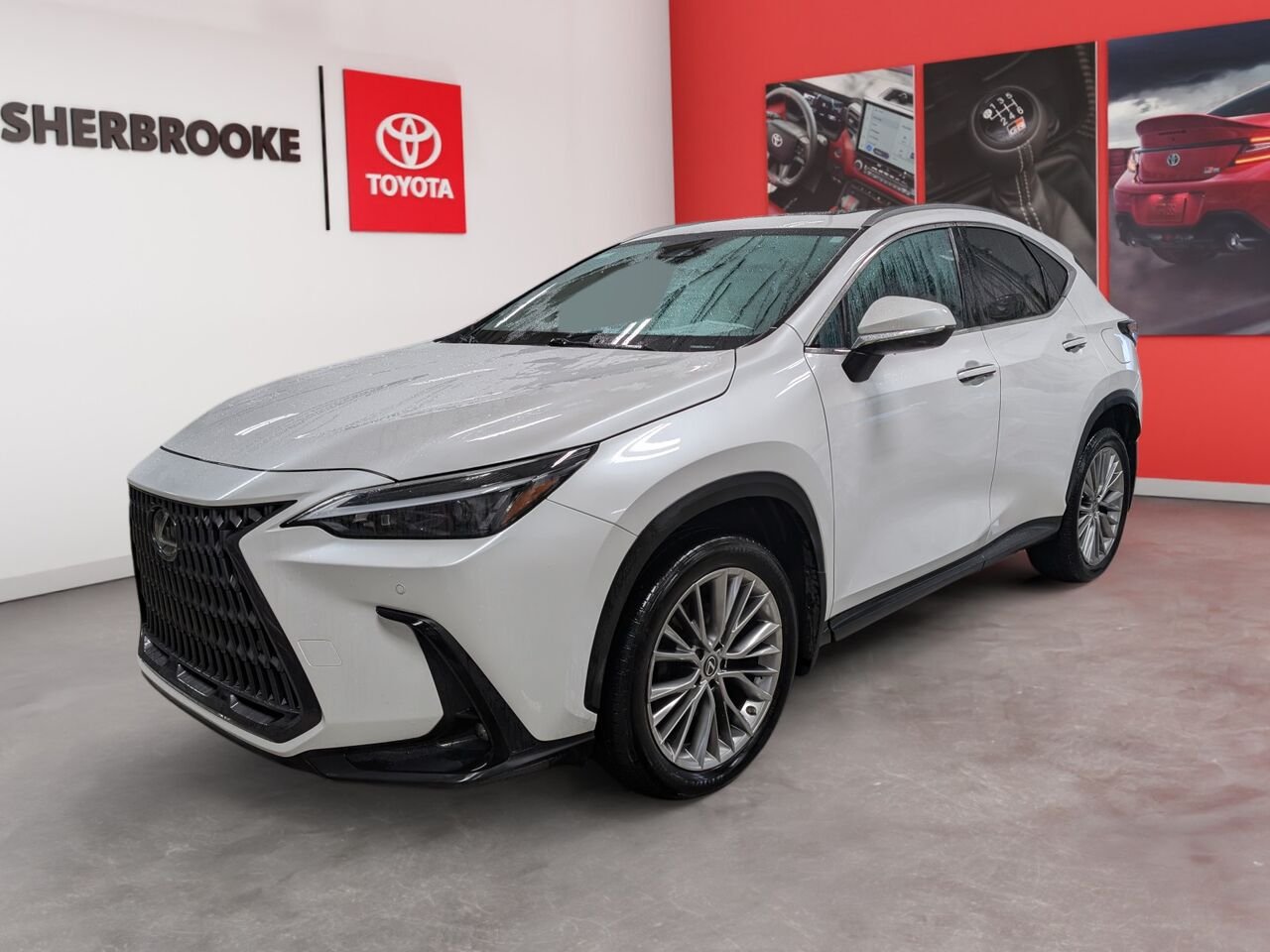 2022 Lexus NX 2T2GGCEZ9NC004026 White Sherbrooke - photo #0