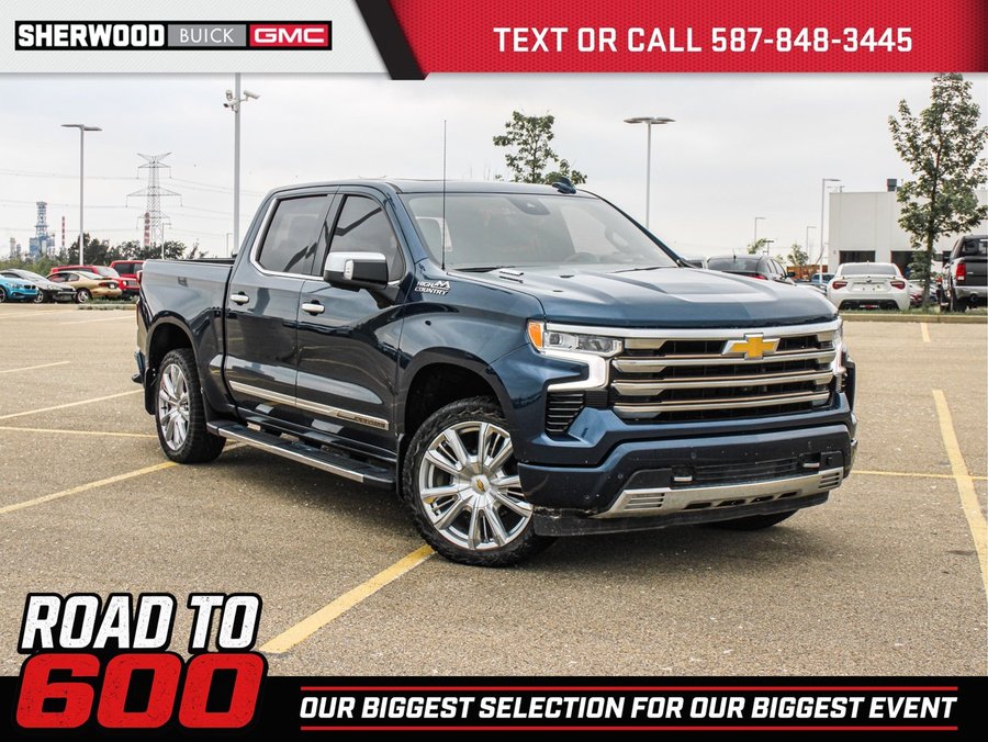 2022 Chevrolet Silverado 1500 2022 Blue
