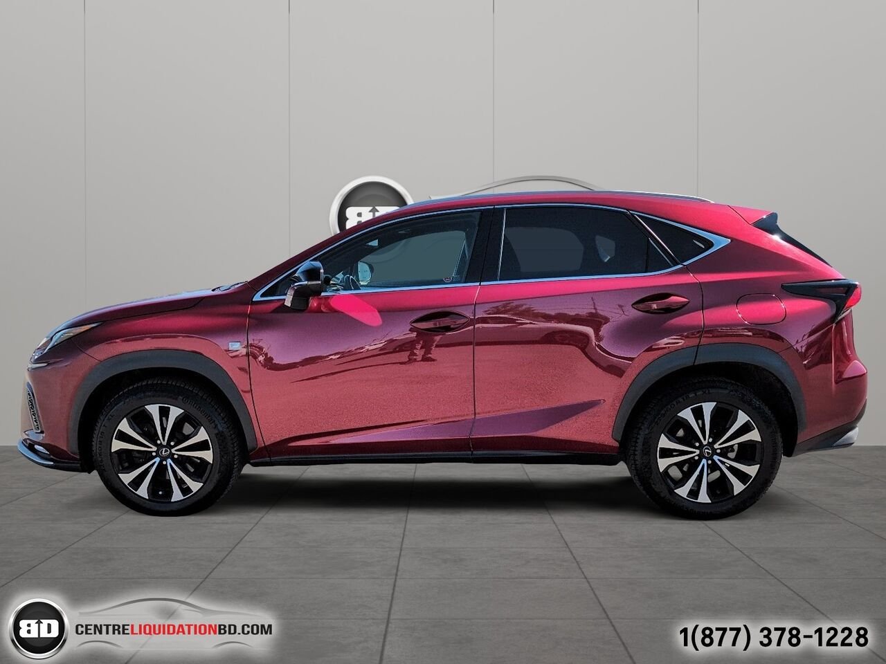 Lexus NX NX 300 | BD0273 2019 Rouge Granby - photo #8
