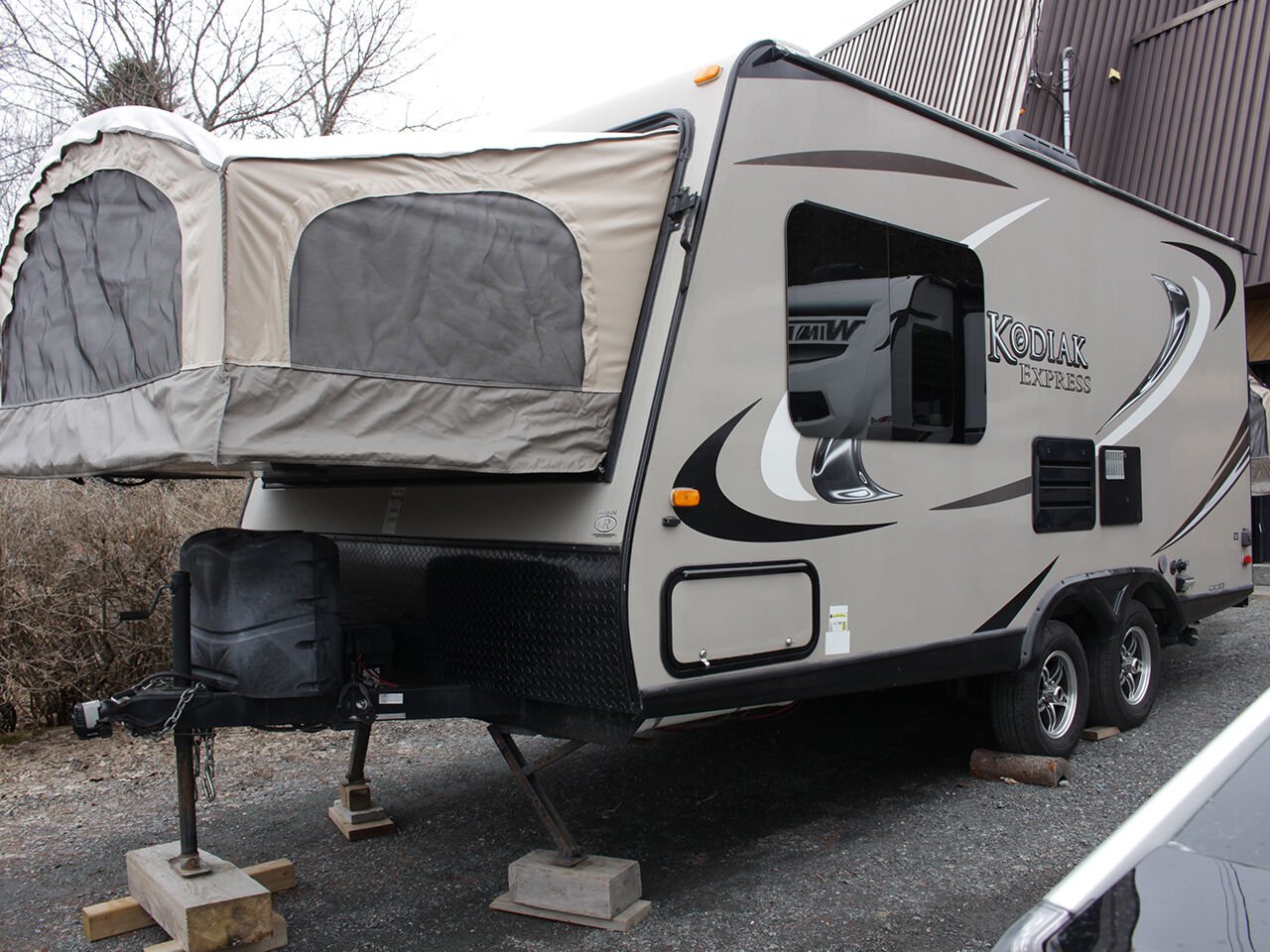 Kodiak DK186 Hybride 2015 Beige Lac-Etchemin - photo #1