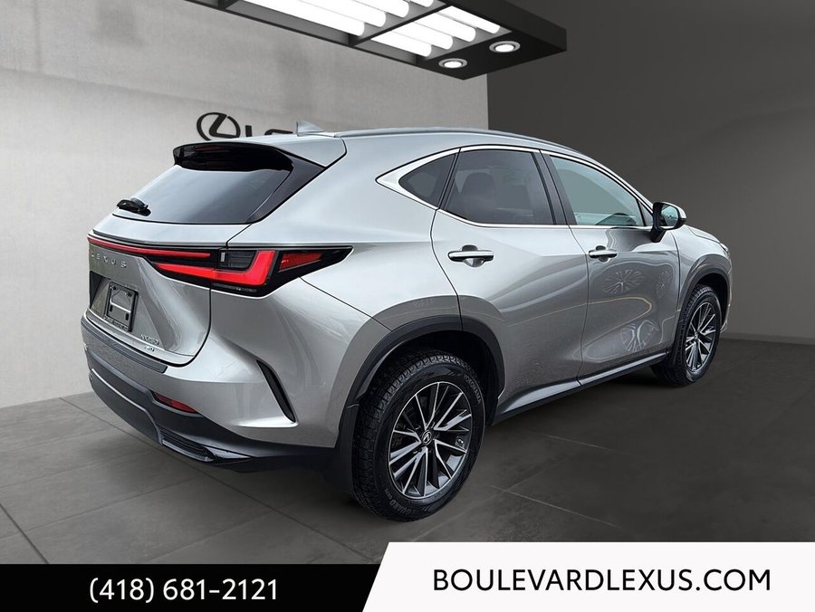 Lexus NX 2022 2022 Argent