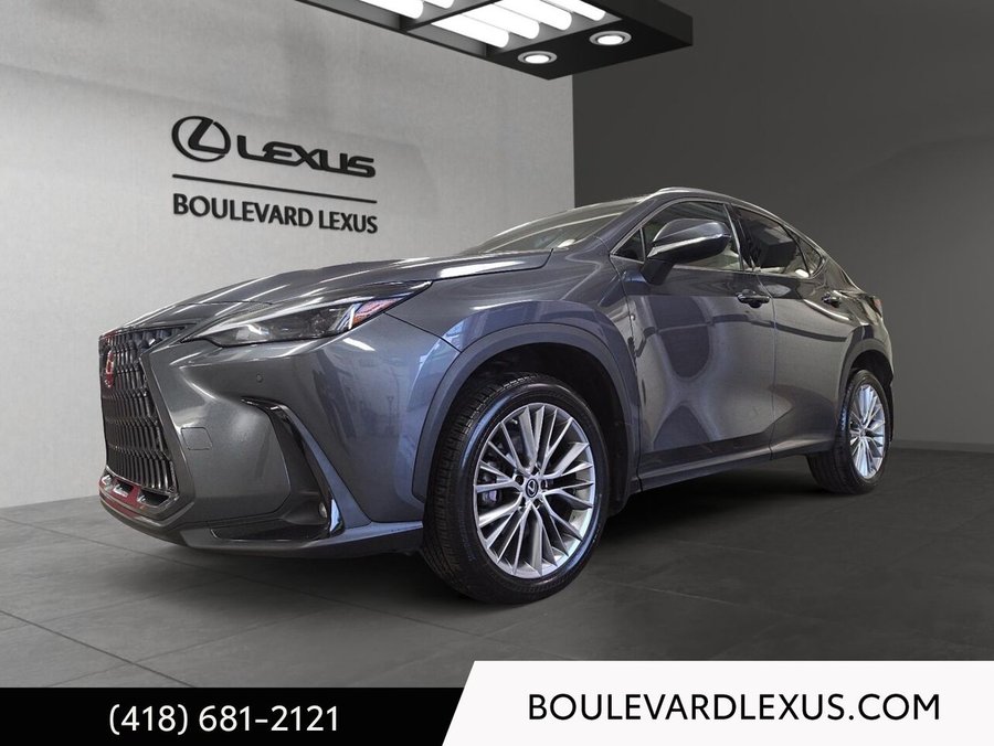 Lexus NX 2023 2023 Gris