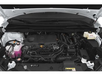 Toyota Sienna XLE