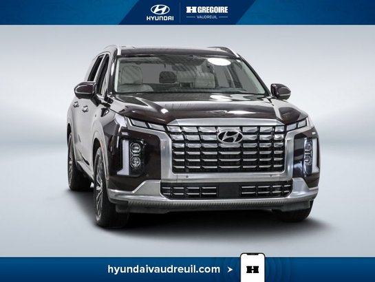 Hyundai Palisade 2024 2024 Rouge