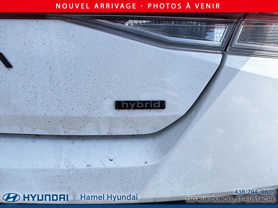 HYUNDAI ELANTRA HEV LUXURY 2026 2026 Blanc