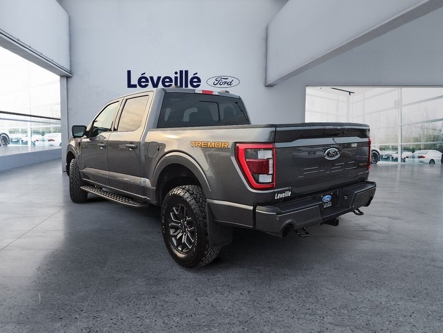 Ford F-150 2023 2023 Gris