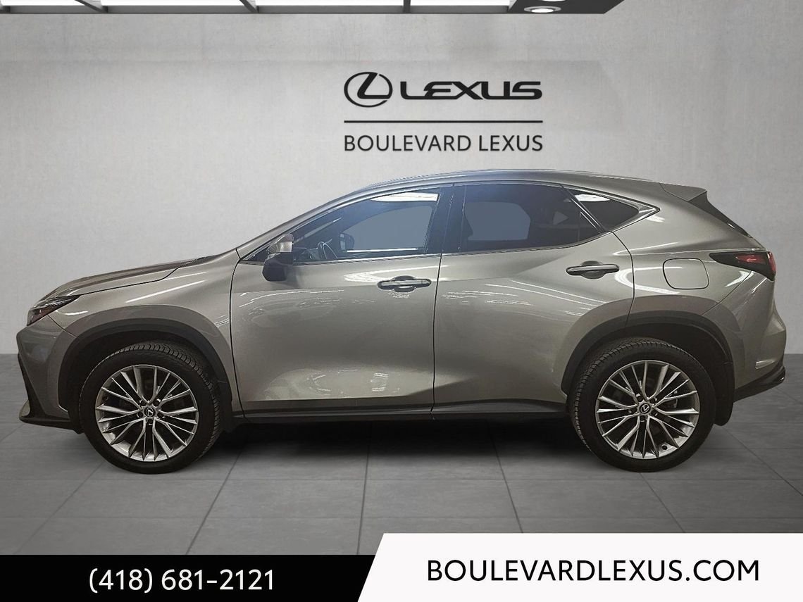 Lexus NX 19404A 2024 Argent Québec - photo #33