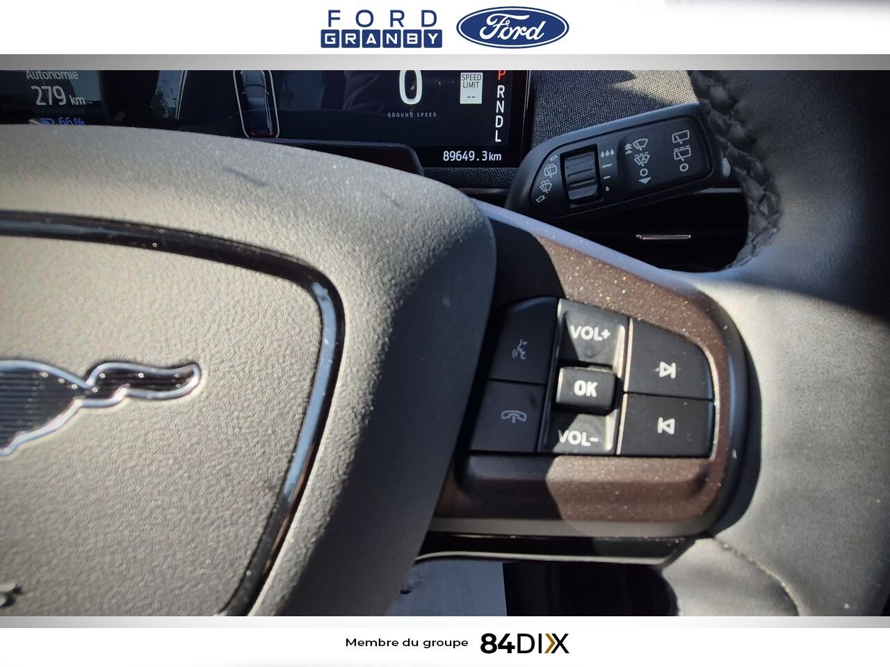 2021 Ford Mustang Mach-E Silver Granby - photo #21