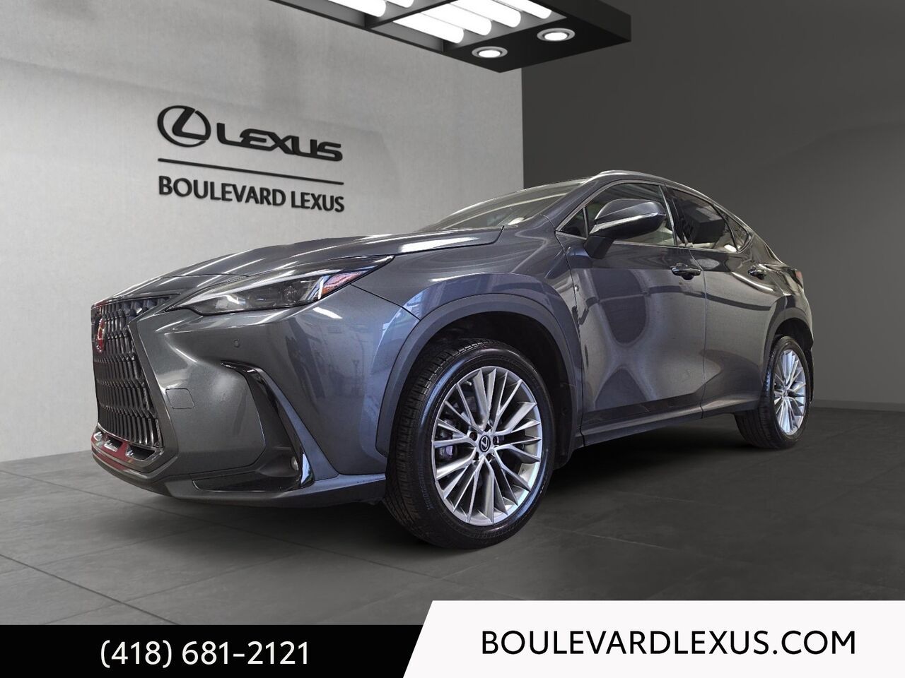 Gray 2023 Lexus NX SUV / Crossover Automatic