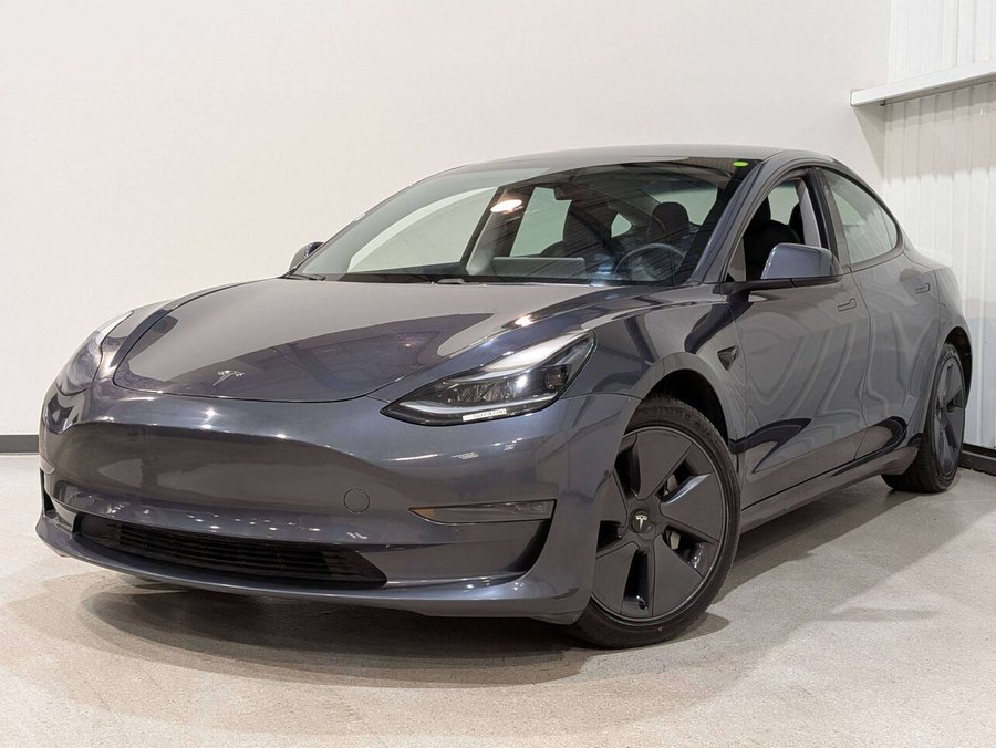 Tesla Model 3 Standard Range Plus RWD 2021 Gris