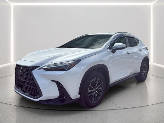 2025 Lexus NX 2025 White