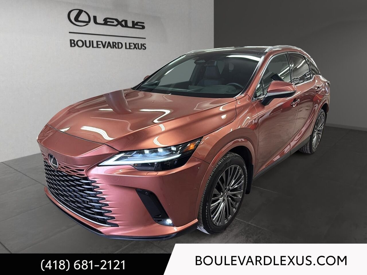 2024 Lexus RX Bronze Quebec - photo #0