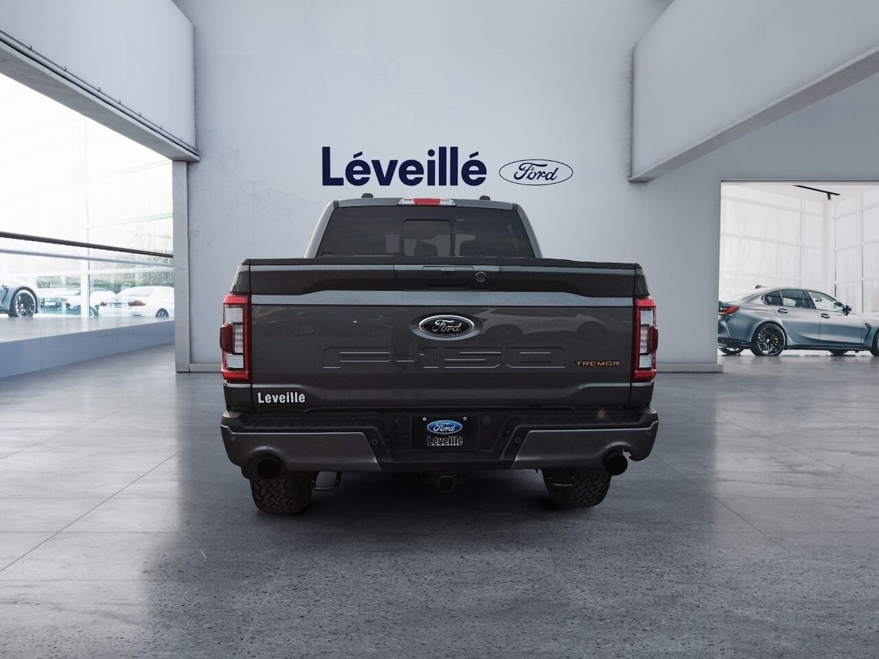 Ford F-150 2023 Gris Saint-Jérôme - photo #2