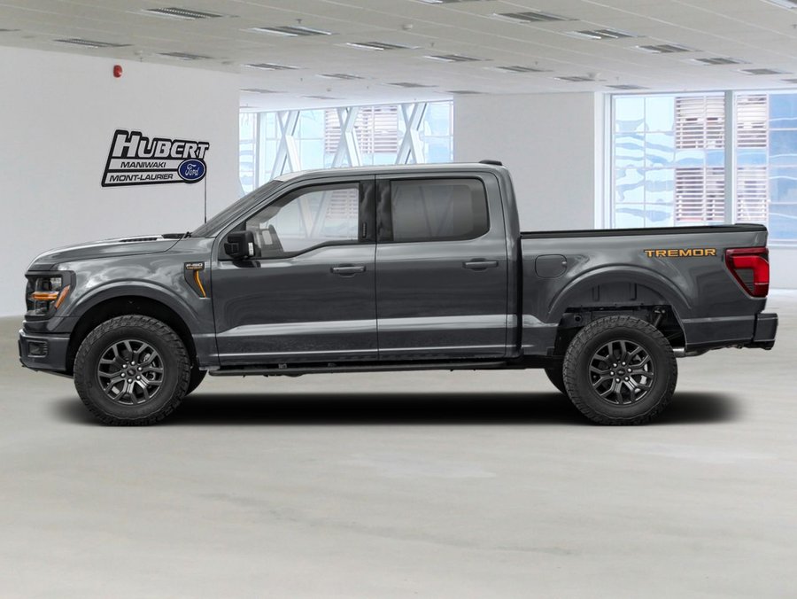 Ford F-150 2026 2026 Gris carbonisé métallisé