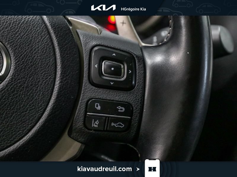 Lexus NX KA8037 | NX 300 AWD 2021 Gris Laval - photo #17