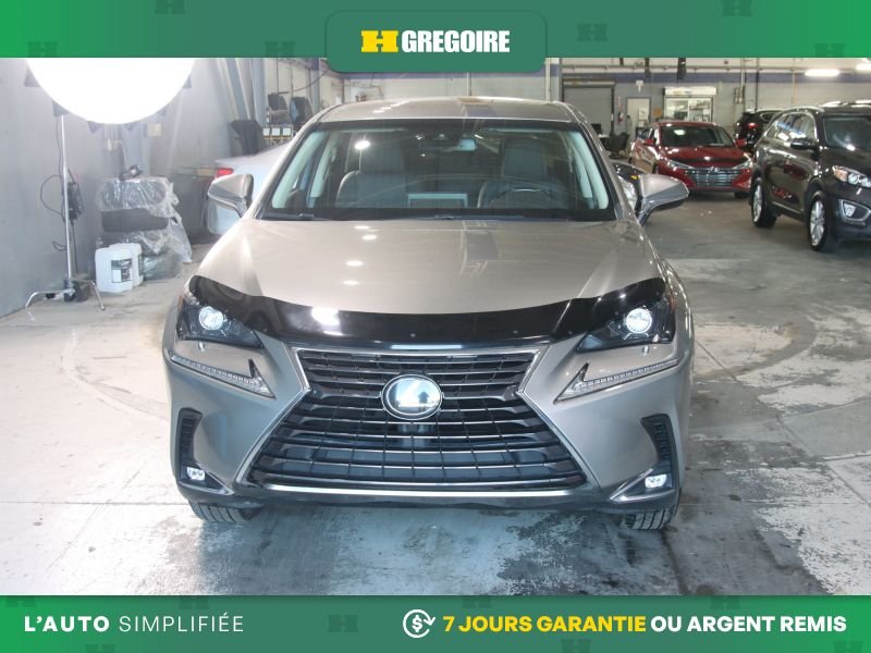 2019 Lexus NX Grey Saint-Eustache - photo #1