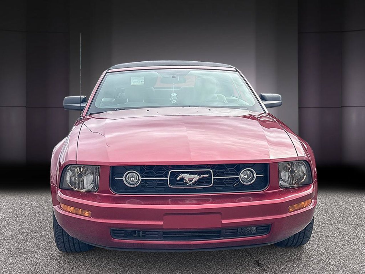 Ford Mustang 1ZVFT84N475329610 2007 Rouge vif métallisé Mirabel - photo #7