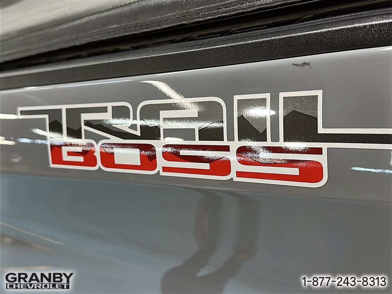 Chevrolet Silverado 1500 LT Trail Boss crewcab boite 6.6 diesel | 26-0901B 2024 Beige Granby - photo #19