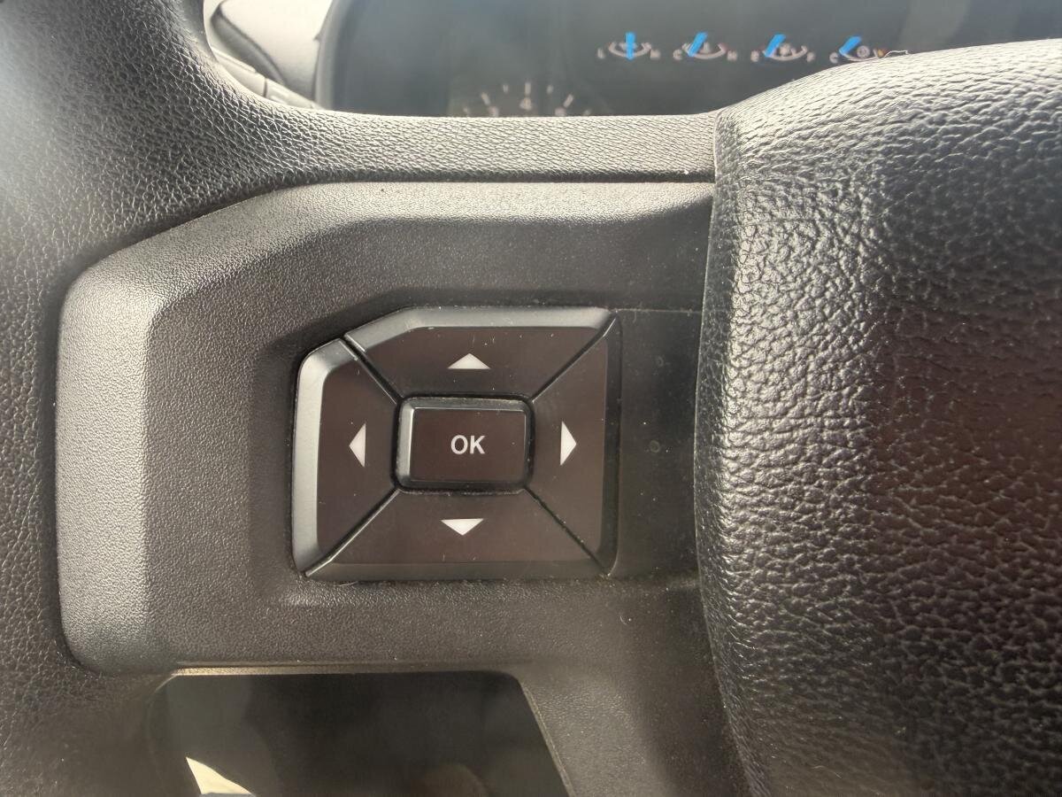 Ford F-150 2016 Gris  - photo #10