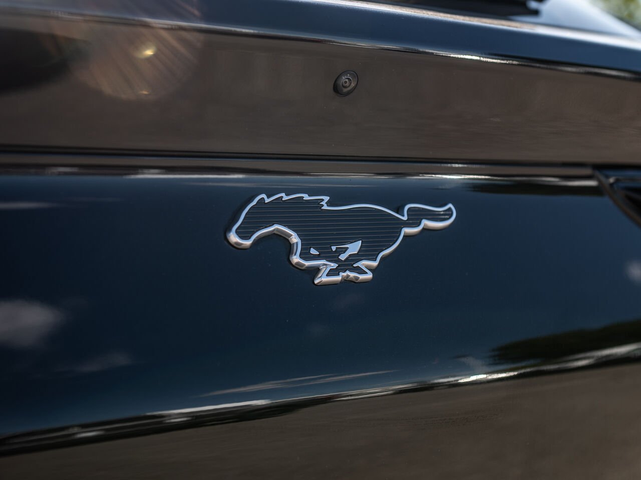 2023 Ford Mustang Mach-E Black Sainte-Julienne - photo #8