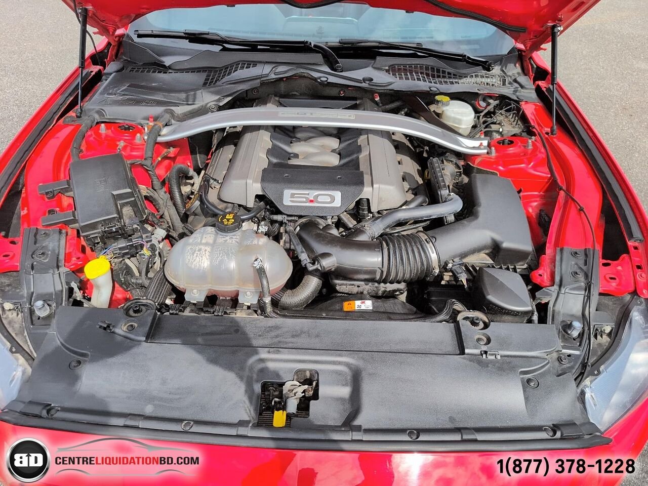 2017 Ford Mustang GT PREMIUM | BD0185 Red Granby - photo #12