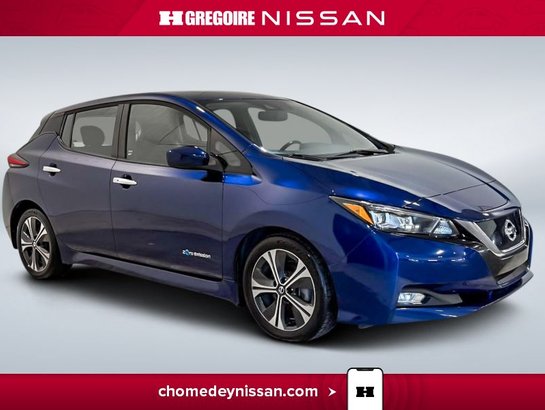 2019 Nissan Leaf 2019 Blue