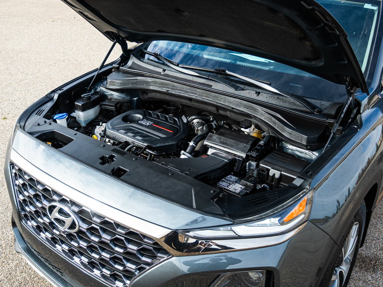 2020 Hyundai Santa Fe 2.0T Luxury AWD Green Sherwood Park - photo #6