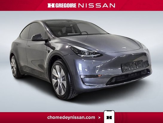 2023 Tesla Model Y 2023 Grey