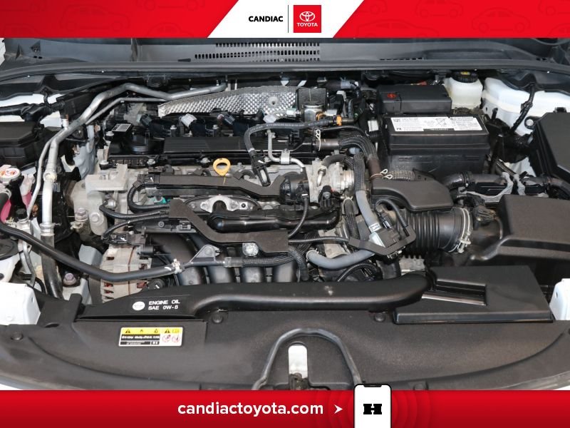 2025 Toyota Corolla White Laval - photo #36