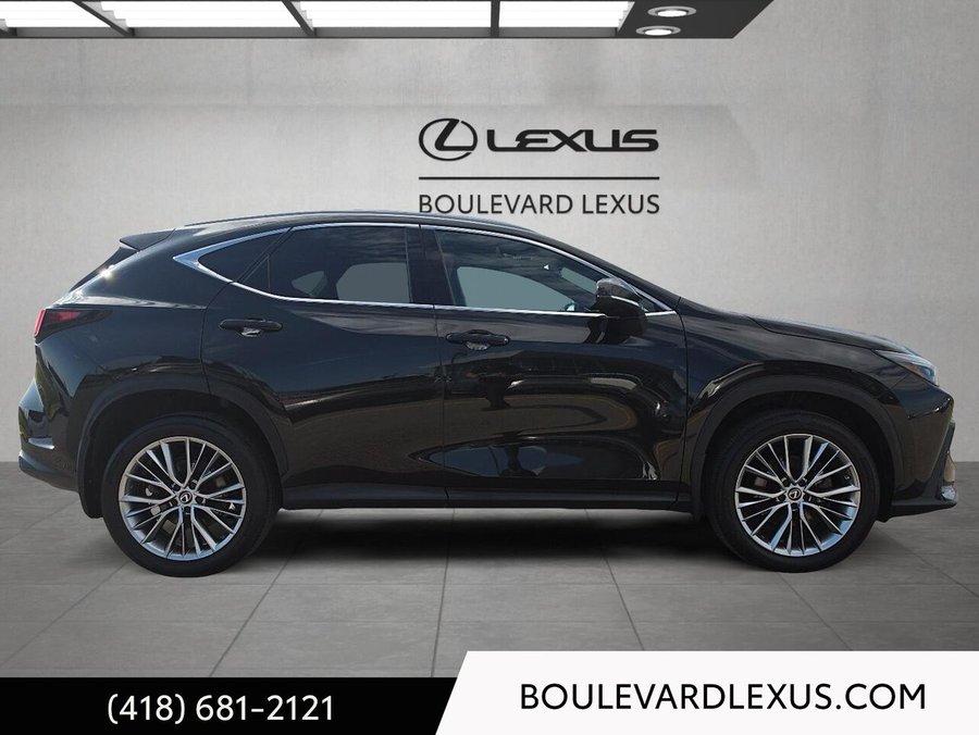 Lexus NX 2022 2022 Noir