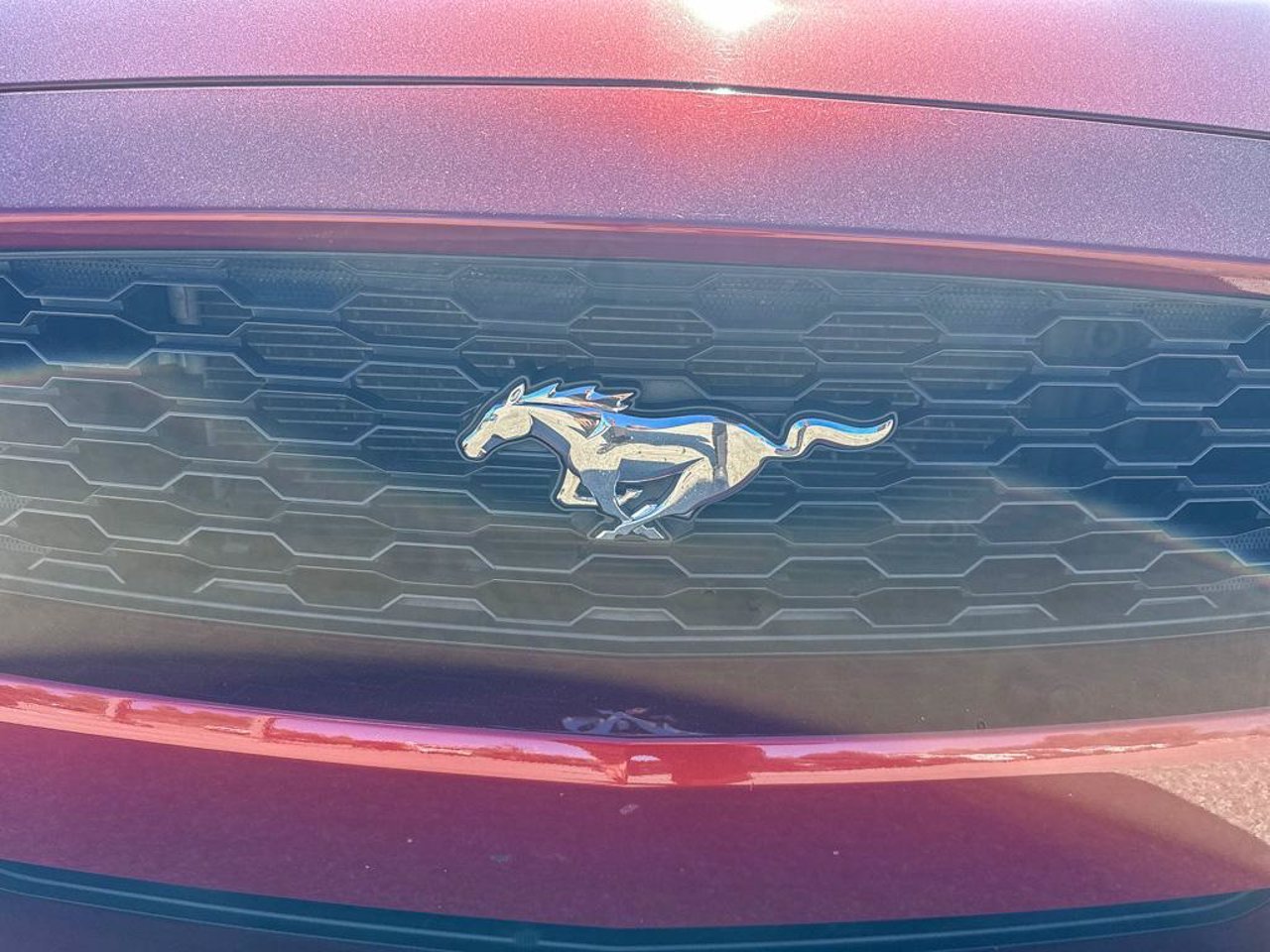 2016 Ford Mustang 1FA6P8AM3G5308367 Red Mirabel - photo #11
