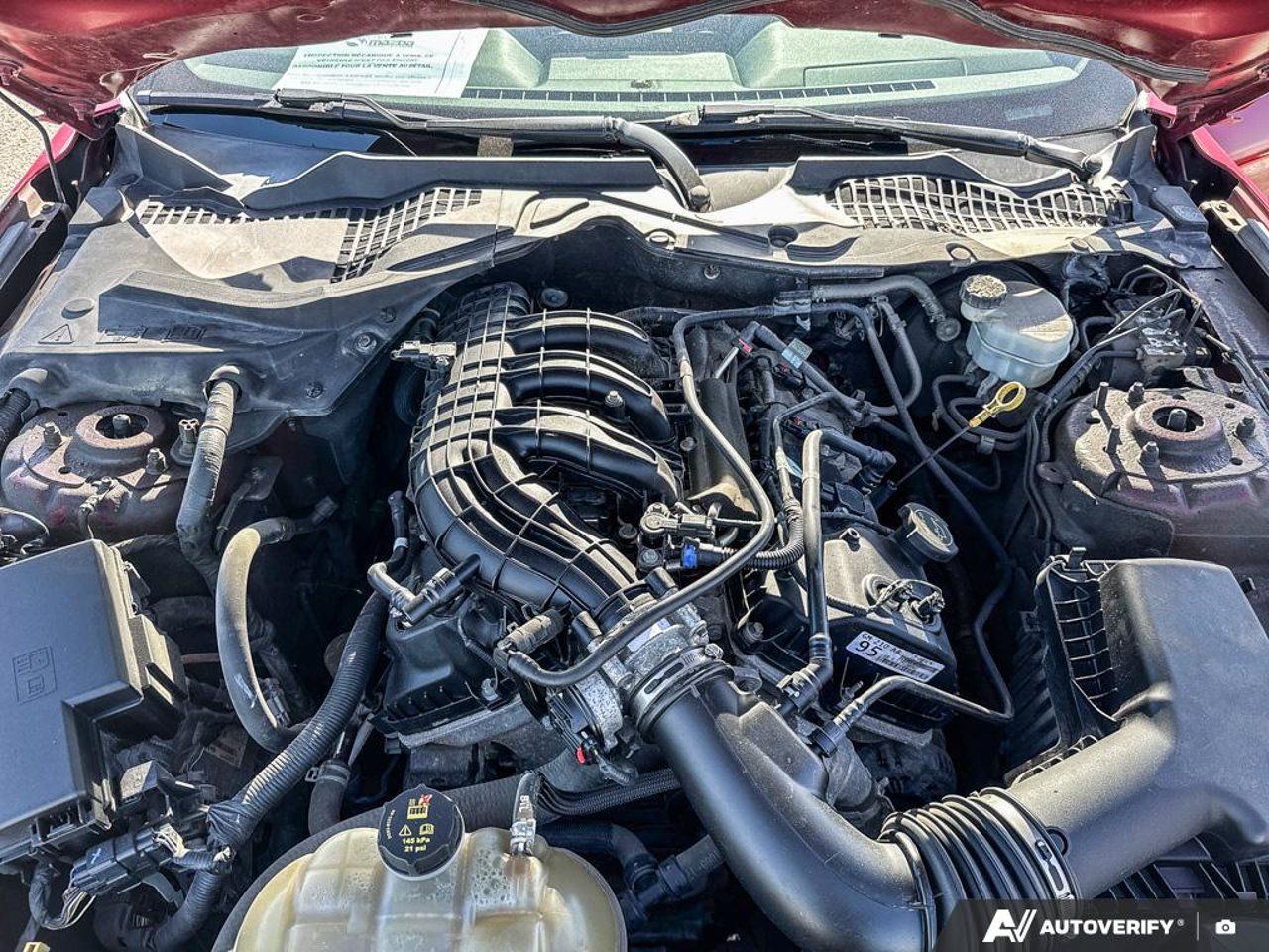 Ford Mustang 1FA6P8AM3G5308367 2016 Rouge Mirabel - photo #12