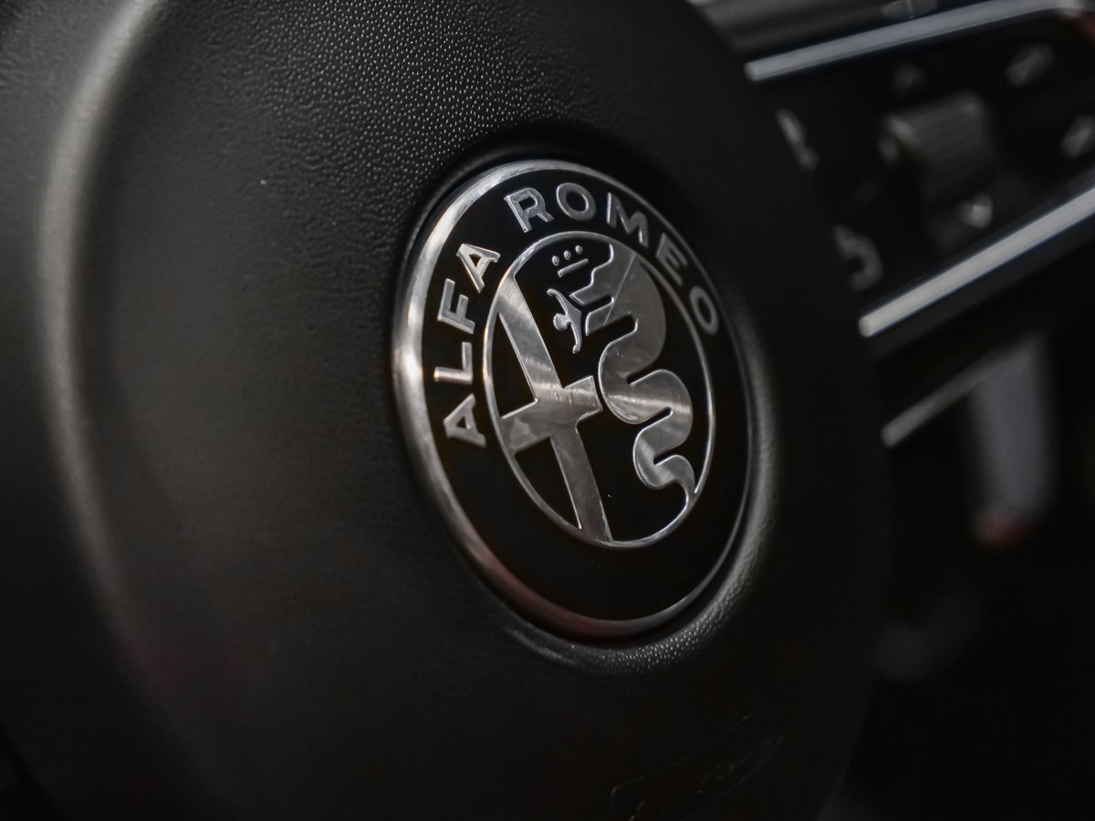 Alfa Romeo Stelvio QUADRIFOGLIO CARBONE 2024 Noir Montréal - photo #20