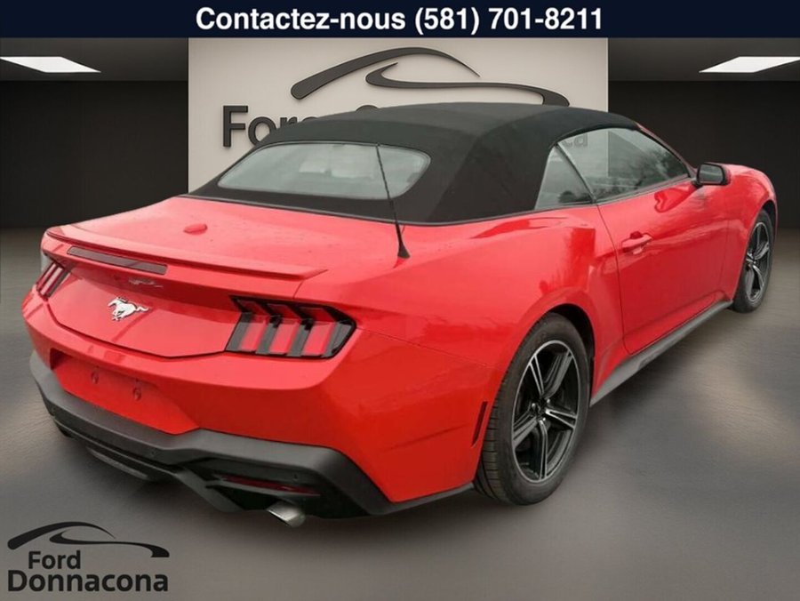 Ford Mustang 2025 2025 Rouge