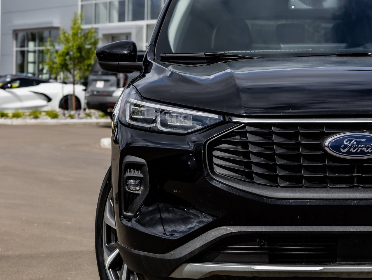 2025 Ford Escape Platinum AWD Black Sherwood Park - photo #4