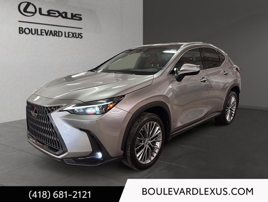 Lexus NX 350h Luxe 2022 Argent