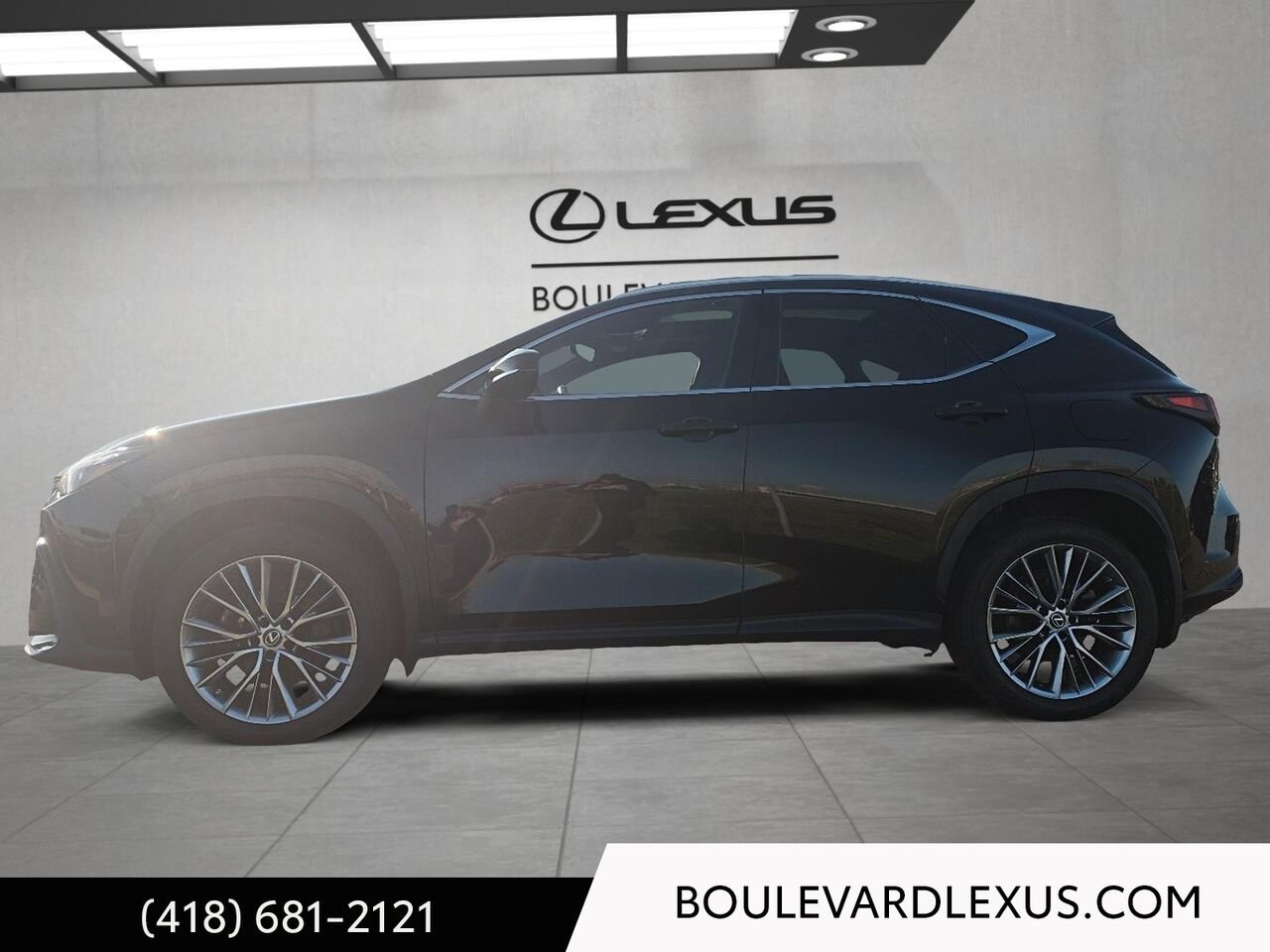 Lexus NX 19901A | NX 350h TI 2022 Noir Québec - photo #5