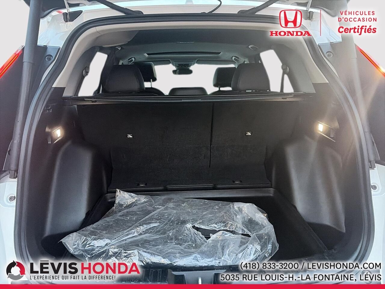 2023 Honda CR-V EX-L AWD EX-L Traction Intégrale White Lévis - photo #13