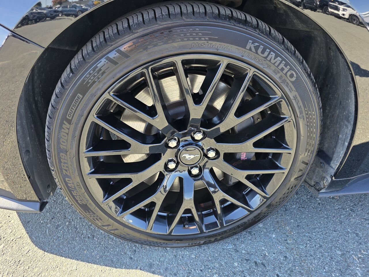 Ford Mustang GT à toit fuyant 2019 Noir Rouyn-Noranda - photo #11