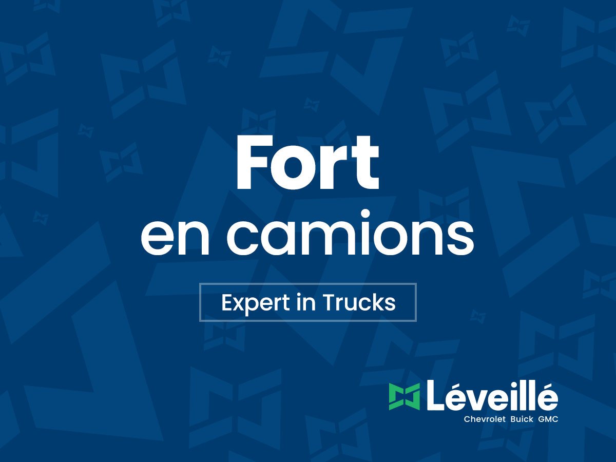 Hyundai Santa Cruz 2.5T TREND AWD *TOIT* BOSE *NAV* SIEGES CHAUFF 2024 Gris Saint-Jérôme - photo #12