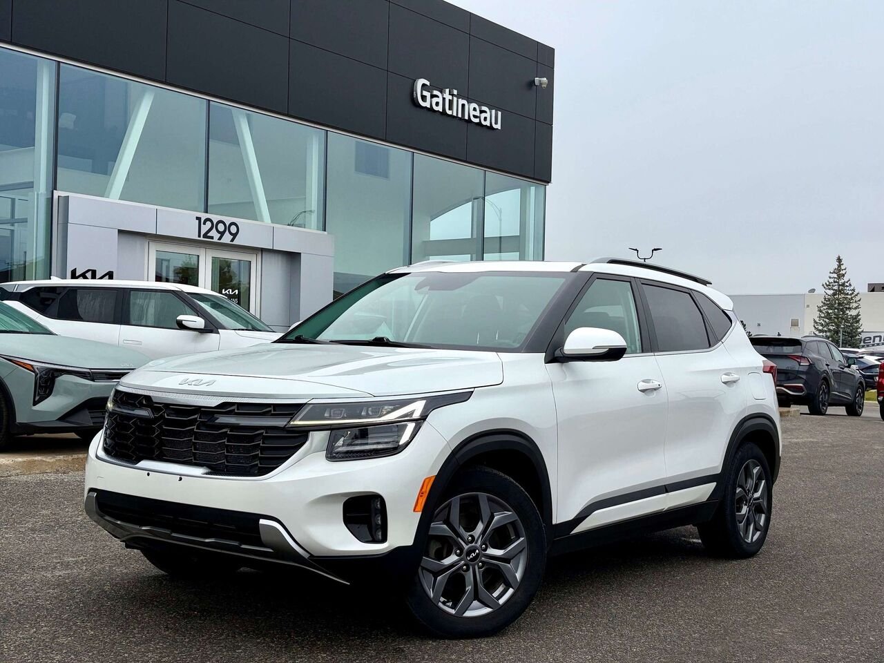 Kia Seltos 2024 Blanc Gatineau - photo #0