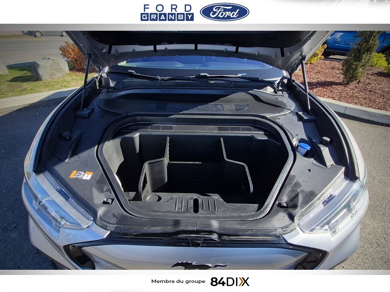 2021 Ford Mustang Mach-E Silver Granby - photo #11