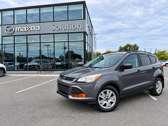 Ford ESCAPE 2013 2013 Gris