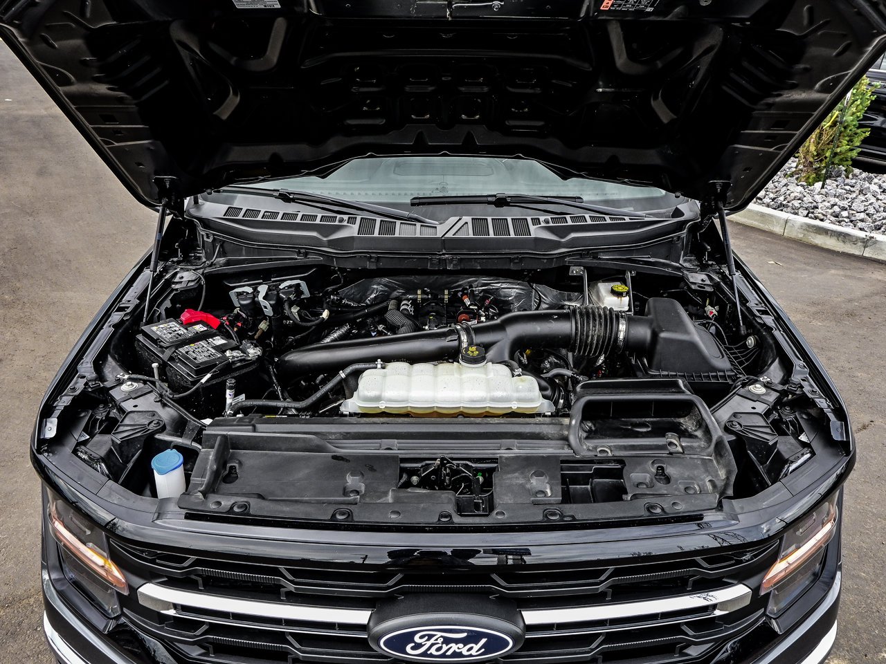 2025 Ford F-150 XLT 4WD SuperCrew 5.5' Box Grey Sherwood Park - photo #8