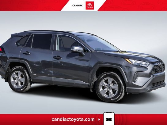 2025 Toyota Rav 4 Hybrid XLE AWD-VOLANT CHAUF-TOIT OUVRANT-MAGS Grey
