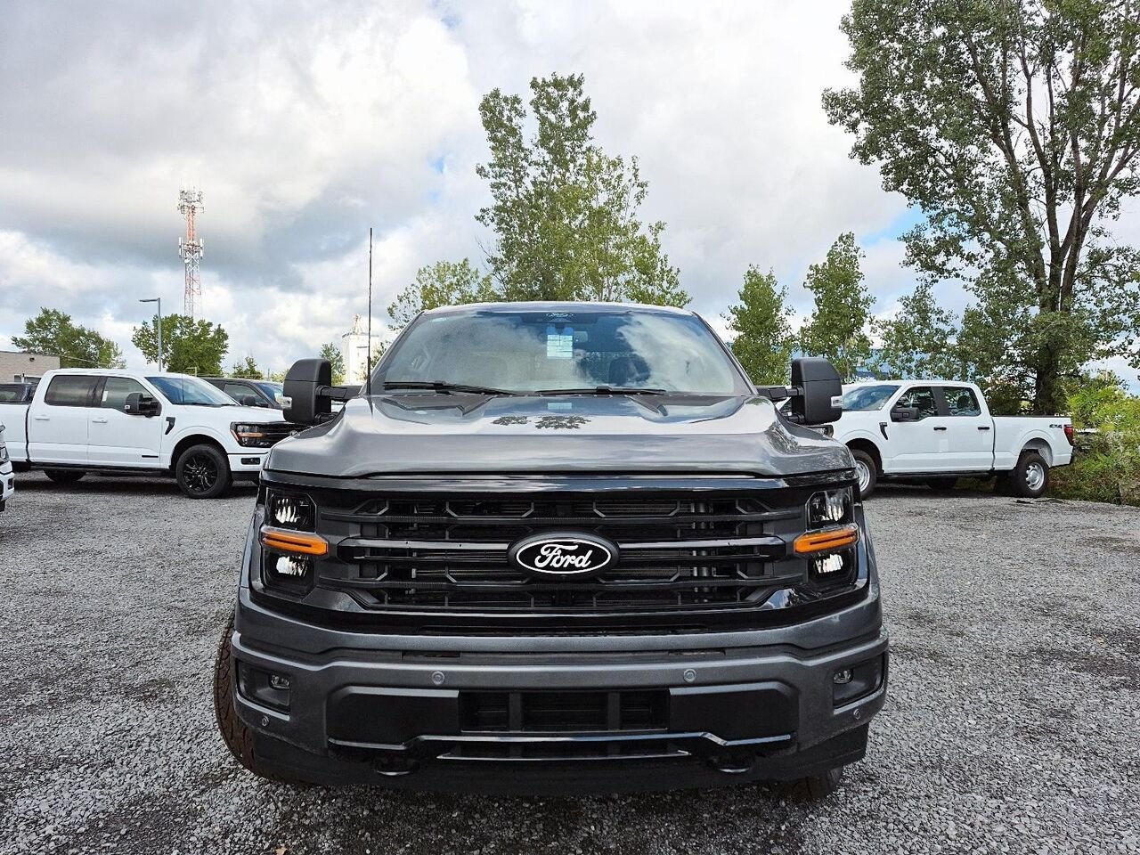 2026 Ford F-150 Marsh Grey Saint-Jérôme - photo #1